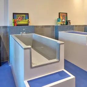 Pet Spa