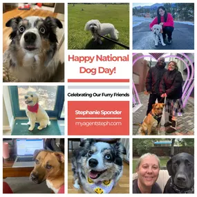 It’s National Dog Day, and we’re paws-itively thrilled to celebrate with our fur babies!  Meet the adorable members of our family who bring so much joy to our lives. Whether it’s cuddles on the couch or adventures outdoors, life is better with a dog by your side.