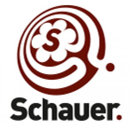 Logo od Schauer Steuerberater- Partnerschaftsgesellschaft mbB