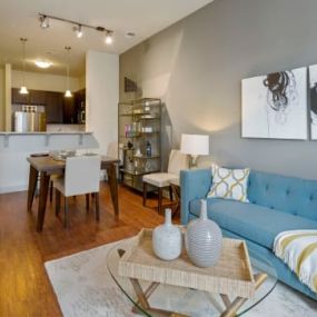 401 Oberlin Apartment Living Room