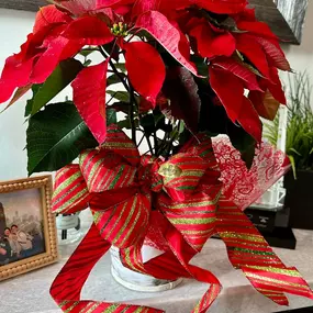 Thank you Grimball Pediatric Dentistry for the beautiful Christmas poinsettia! We have the best neighbors at our new office location!