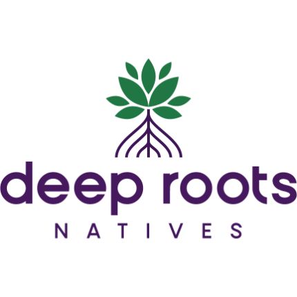 Logo da Deep Roots Natives