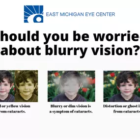 Bild von East Michigan Eye Center