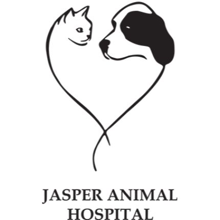 Logo fra Jasper Animal Hospital