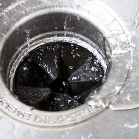 Expert Garbage Disposal Repairs