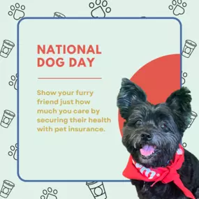 Today, we celebrate our furry best friends who fill our lives with unconditional love and endless tail wags. Whether they're big or small, purebred or rescue, every dog deserves a little extra love today. Let's honor the paws that walk beside us!