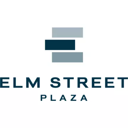 Logo from Elm Street Plaza