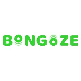 Bongoze - Call Overflow Service for the Insurance Industry