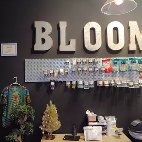 Bloom