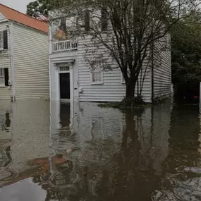 Most people who experience flooding, don’t expect it and sadly, they also don’t know their Homeowners insurance  does NOT cover Flood.  I can help you get the right protection in place to keep your family, your home and your business safe. 843-769-5000 windy@windyplank.com #NationalFoodAwarenessWeek #ProtectedbyPlank