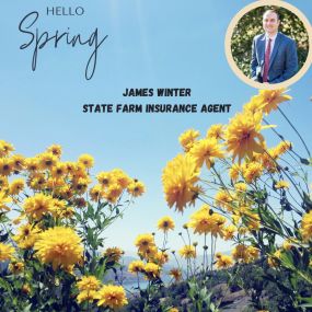 James Winter - State Farm Insurance