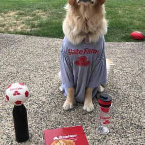 State Farm pup