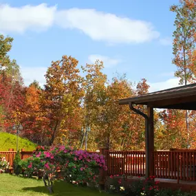 Bild von Carolina Getaway Cabins