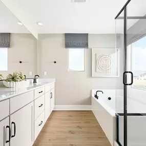 Prodigy Model Home Owner's Bathroom