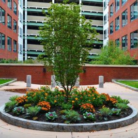 Inner courtyard