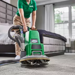 Carpet Cleaning