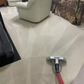 Carpet Cleaning Service