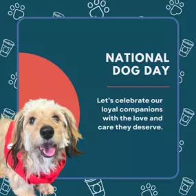 Today, we celebrate our furry best friends who fill our lives with unconditional love and endless tail wags. Whether they're big or small, purebred or rescue, every dog deserves a little extra love today. Let's honor the paws that walk beside us!