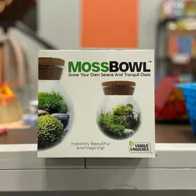 5 Gifts for your Outdoorsy Kid ????????????‍????????
• MossBowl: Grow your own serene and tranquil oasis ???? 
• Dragons Den/Flower Princess Palace: Grow your own plants/flowers & create a micro-habitat ???? 
• Little Bug Keeper: Catch different insects and observe them through a magnifying lid ???? 
• Dinosaur Plant: Watch as a Dino plant grows in just hours ???? 
• Tiny Terrariums: Create your own miniature plant garden ????