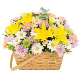 Sunshine Songbird Bouquet - They will get all the feels when they receive this beautiful splitwood basket full of asiatic lilies, white daisies, lavender poms, green athos, pink matsumoto, and orange mini carnations.