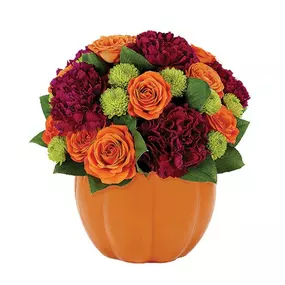 The most treasured of all surprises are the ones that make you smile, and this one will do just that as the perfect accent for Autumn. Lush magenta carnations, together with magnificent orange roses and green poms, fill a festive pumpkin container to create an arrangement that personifies the Fall season.