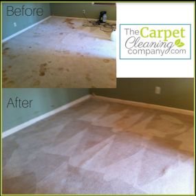 Bild von The Carpet Cleaning Company