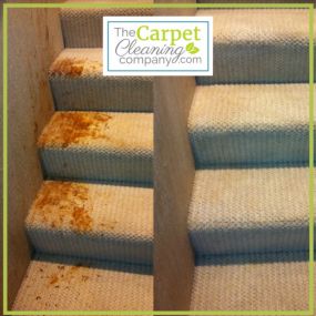 Bild von The Carpet Cleaning Company