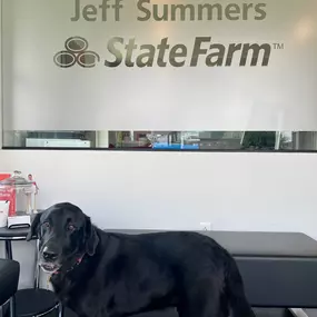 Bild von Jeff Summers - State Farm Insurance Agent