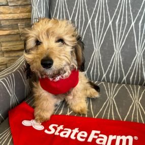 Bild von Bret Denney - State Farm Insurance Agent