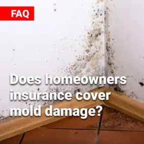 Mold damage usually isn’t covered unless it’s from a covered event, like a burst pipe. Optional mold coverage is available on some policies, so review your details. The Bruce Blake Agency is here to help you navigate your options.