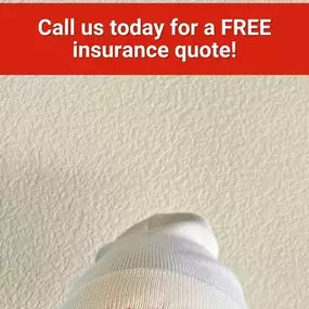 Bruce Blake - State Farm Insurance Agent