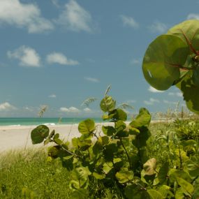 Bild von Jupiter Beach Resort & Spa