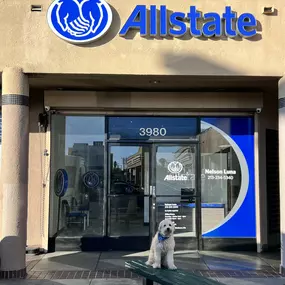 Bild von Nelson Luna: Allstate Insurance