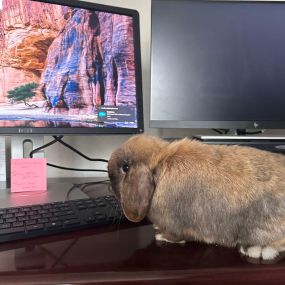 Hoppy Friday from Pippo, our stand-in Agent at the Cedar Grove office!????