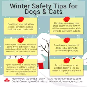 From cozy sweaters to frosty paw protection, here are some essential tips to keep your furry friends warm and happy during the winter months! 
Don't forget, you can ensure their well-being year-round by securing pet insurance through State Farm's partnership with Trupanion.