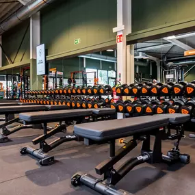 Bild von Basic-Fit 24/7