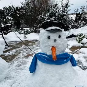 Let it snow, let it snow!!!! We hope everyone is enjoying the snow in Houston today and tomorrow!!!
Our Ann Ton, State Farm Agency is having a contest “Houston Snowman 2025” between our staff members’ children and they named it. Please cast in your vote for your favorite!
Let the voting begin!!!! Let’s Go!!! 
1) Miss Ruby Rosa Sosa
2) Less is More Snowman
3) Mr. Frosty Blue
4) Frosty the Fancy
5) Esnowy