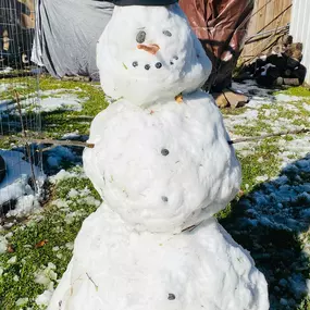 Let it snow, let it snow!!!! We hope everyone is enjoying the snow in Houston today and tomorrow!!!
Our Ann Ton, State Farm Agency is having a contest “Houston Snowman 2025” between our staff members’ children and they named it. Please cast in your vote for your favorite!
Let the voting begin!!!! Let’s Go!!! 
1) Miss Ruby Rosa Sosa
2) Less is More Snowman
3) Mr. Frosty Blue
4) Frosty the Fancy
5) Esnowy