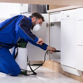 Man spraying a kitchen for pests