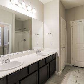 Double Vanity in Master Bathroom