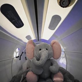 Our store mascot Eli in the Hyperbaric Oxygen Chamber!