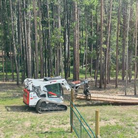 Splintered forest removing logs from job site