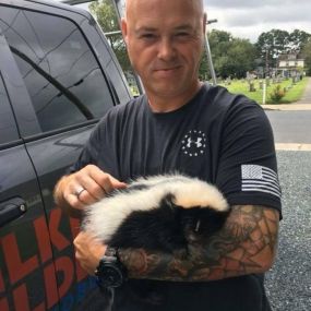 Humane Skunk Removal