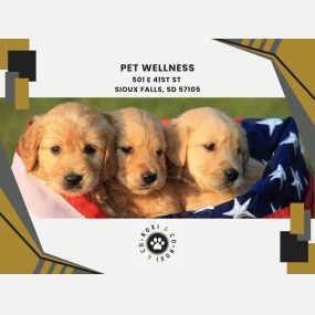 pet wellness