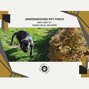 underground pet fence