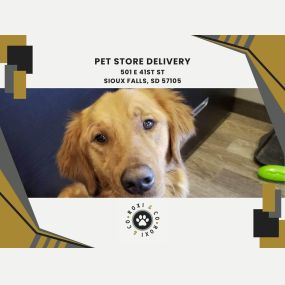 pet store delivery