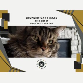 crunchy cat treats