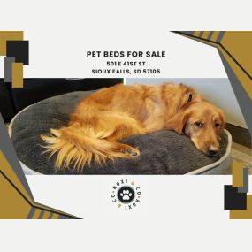 pet beds for sale