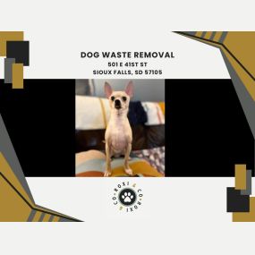 dog waste removal