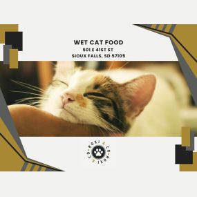 wet cat food